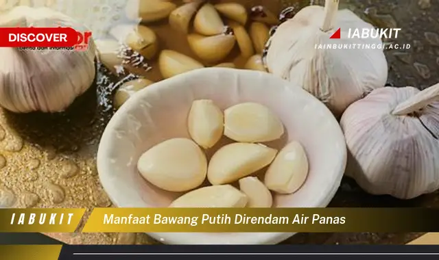 manfaat bawang putih direndam air panas