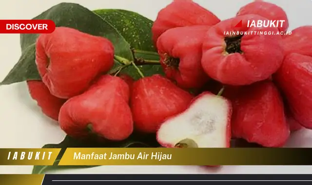 manfaat jambu air hijau