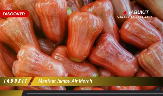 manfaat jambu air merah