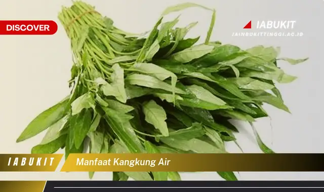 manfaat kangkung air