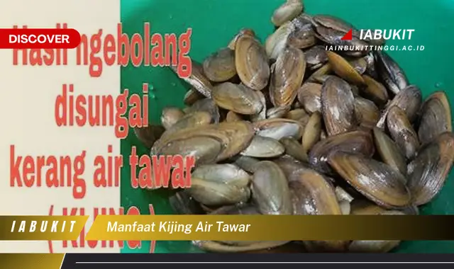 manfaat kijing air tawar manfaat kijing air tawar
