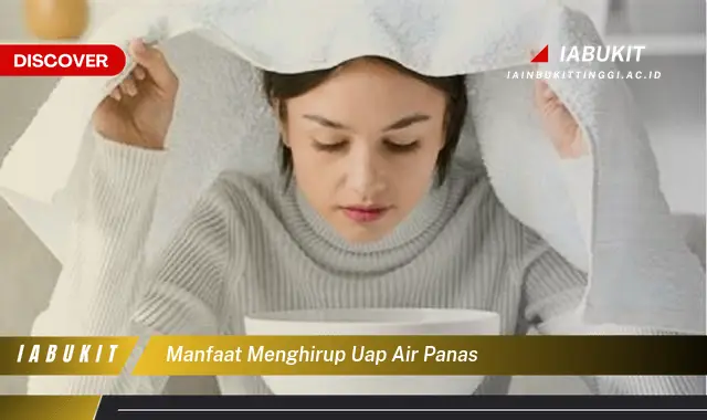 manfaat menghirup uap air panas