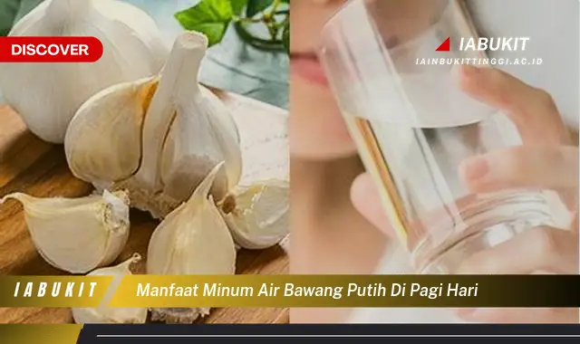 manfaat minum air bawang putih di pagi hari