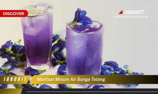 manfaat minum air bunga telang