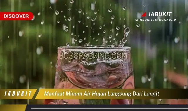 manfaat minum air hujan langsung dari langit