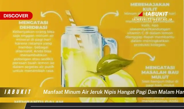 manfaat minum air jeruk nipis hangat pagi dan malam hari