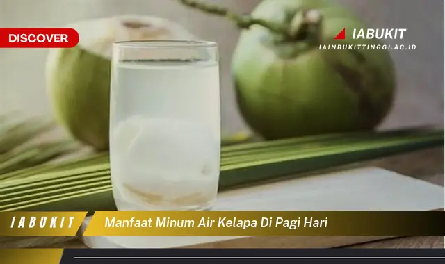 manfaat minum air kelapa di pagi hari