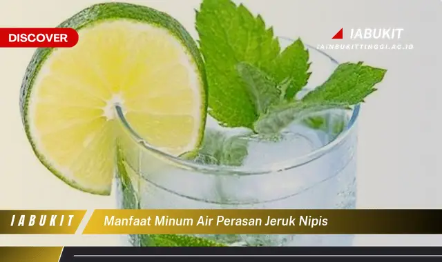 manfaat minum air perasan jeruk nipis