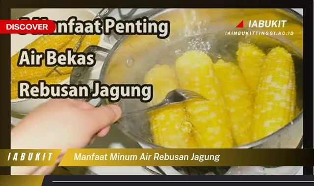 manfaat minum air rebusan jagung