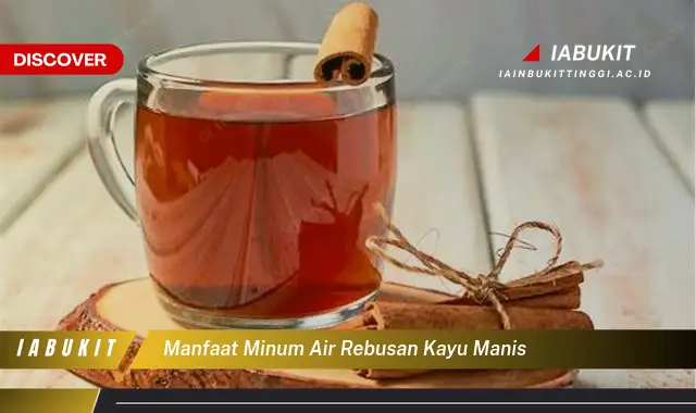 manfaat minum air rebusan kayu manis