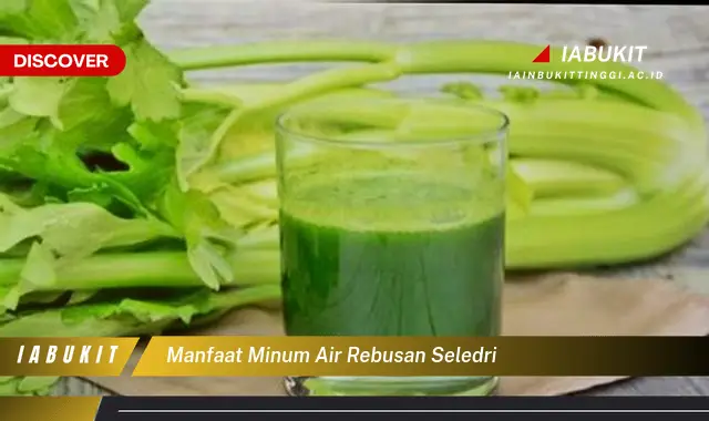 manfaat minum air rebusan seledri