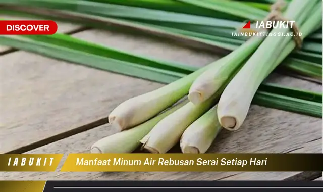 manfaat minum air rebusan serai setiap hari