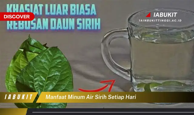 manfaat minum air sirih setiap hari