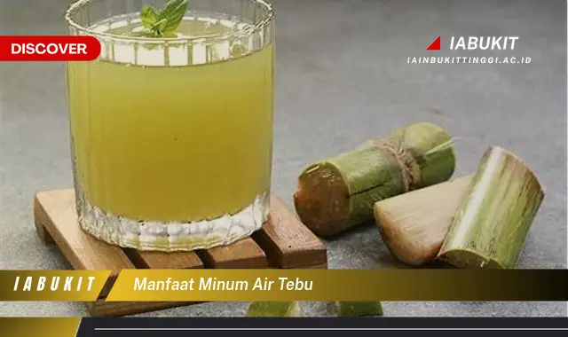 manfaat minum air tebu