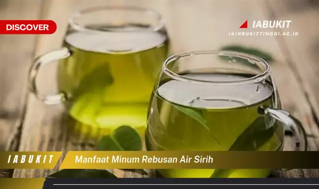 manfaat minum rebusan air sirih