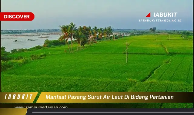 manfaat pasang surut air laut di bidang pertanian