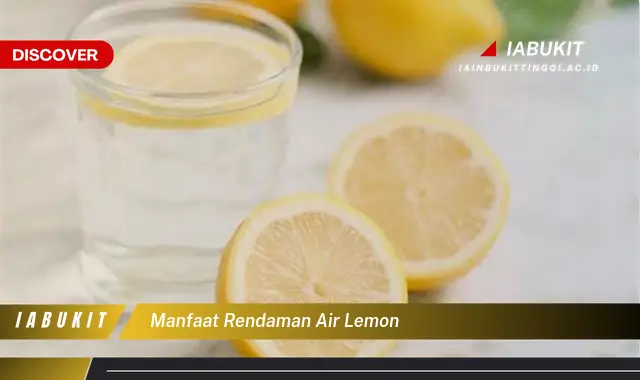 Ketahui 7 Manfaat Rendaman Air Lemon Bikin Kamu Penasaran