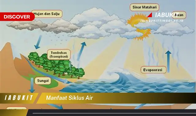 manfaat siklus air