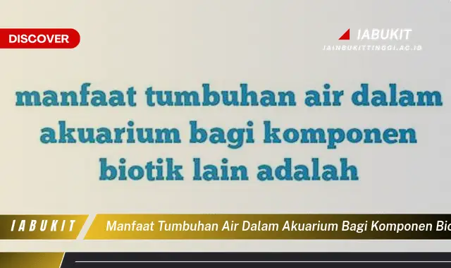 manfaat tumbuhan air dalam akuarium bagi komponen biotik lain adalah