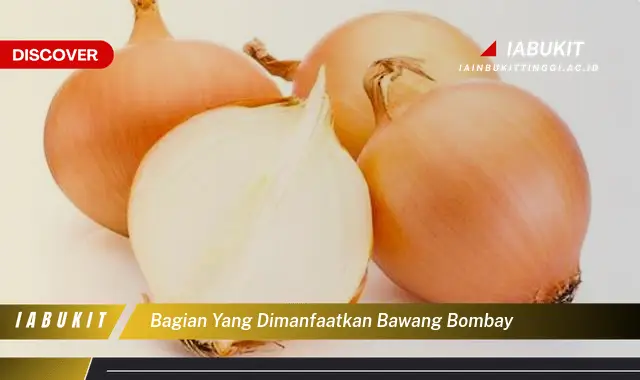 bagian yang dimanfaatkan bawang bombay