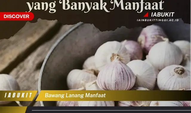 bawang lanang manfaat