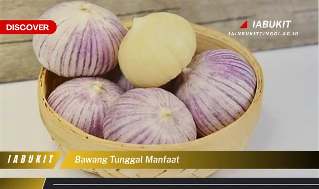 bawang tunggal manfaat