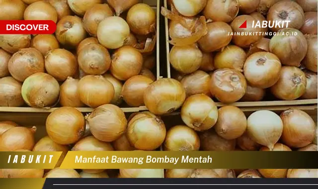 Ketahui Manfaat Bawang Bombay Mentah yang Bikin Kamu Penasaran