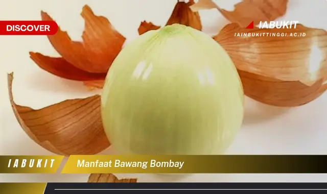 manfaat bawang bombay