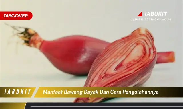 manfaat bawang dayak dan cara pengolahannya