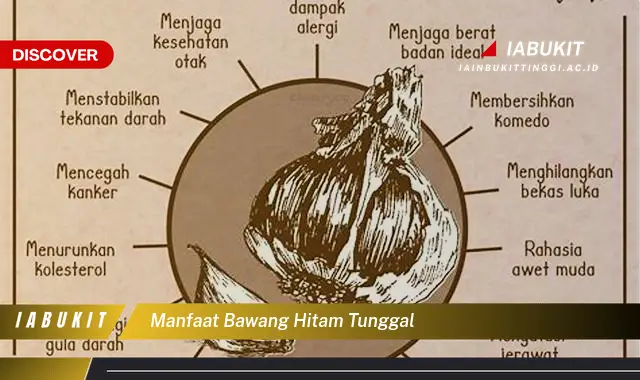 manfaat bawang hitam tunggal