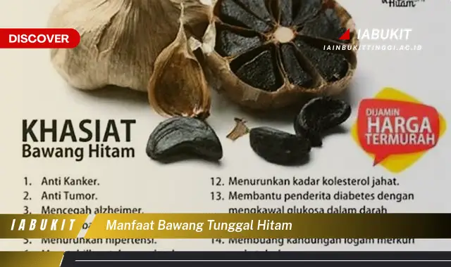 manfaat bawang tunggal hitam