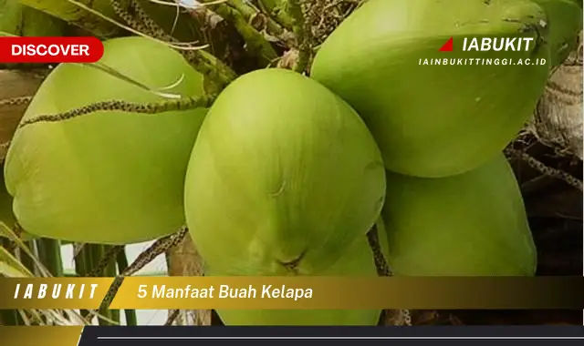 5 manfaat buah kelapa