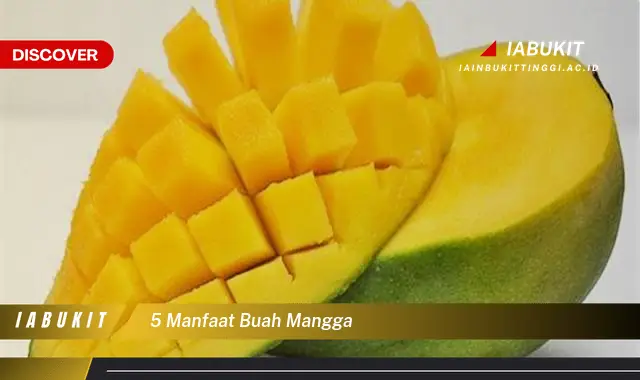 5 manfaat buah mangga