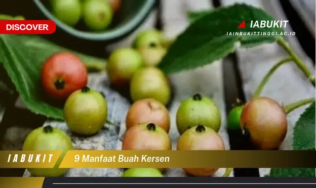 9 manfaat buah kersen