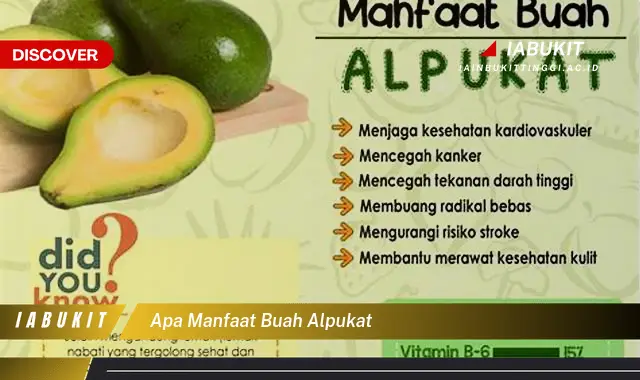 apa manfaat buah alpukat