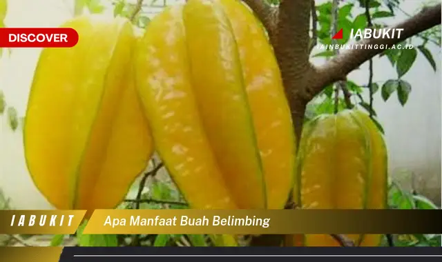 apa manfaat buah belimbing