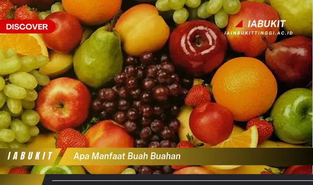 apa manfaat buah buahan