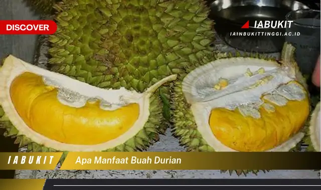 apa manfaat buah durian