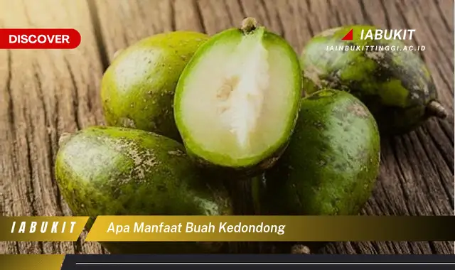 apa manfaat buah kedondong