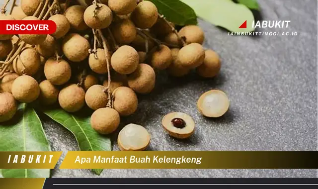 apa manfaat buah kelengkeng