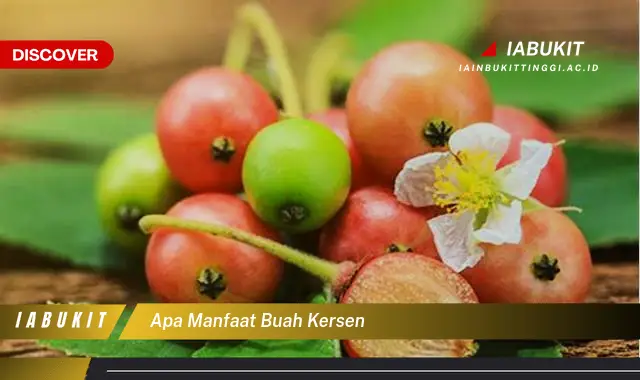 Bikin Penasaran, Ketahui 7 Manfaat Buah Kersen yang Jarang Diketahui