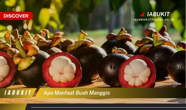 apa manfaat buah manggis