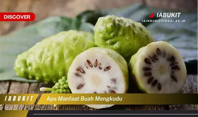 apa manfaat buah mengkudu