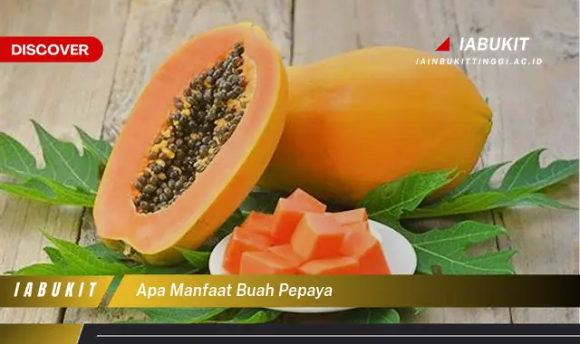 apa manfaat buah pepaya