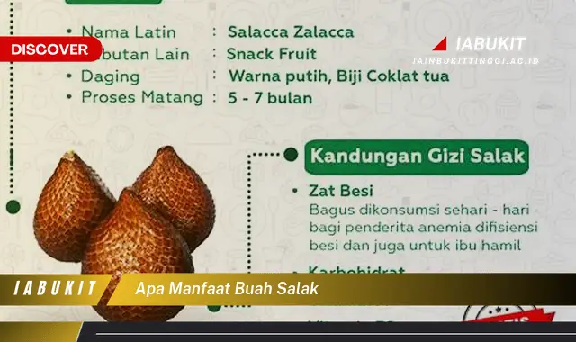 Temukan 7 Manfaat Buah Salak Jarang Diketahui, Bikin Kamu Penasaran!