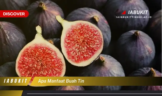 apa manfaat buah tin