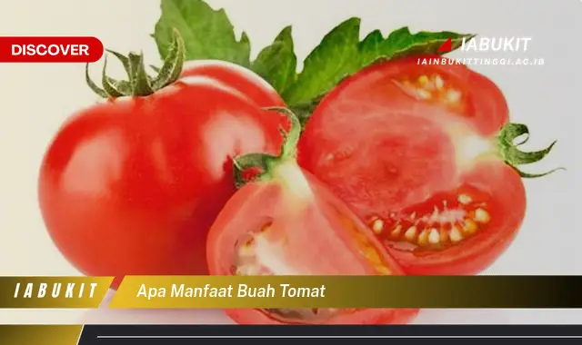 Intip 7 Manfaat Buah Tomat yang Bikin Kamu Penasaran - Discover