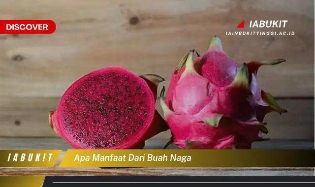 apa manfaat dari buah naga