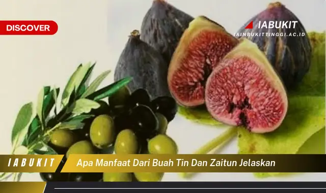 apa manfaat dari buah tin dan zaitun jelaskan