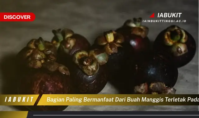 bagian paling bermanfaat dari buah manggis terletak pada